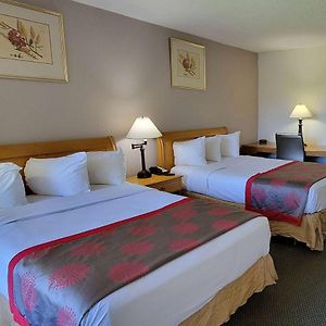 2 Double Beds One Bedroom Non-Smoking